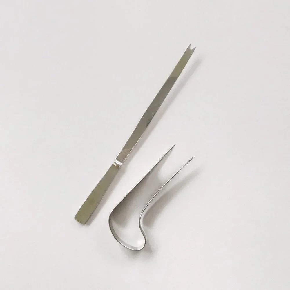 LANTANA Capri Italy Carving Set  70's MCM Stainless Steel Vtg